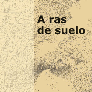 A ras de suelo